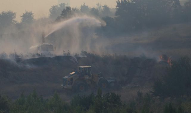 Çanakkale'de orman yangını