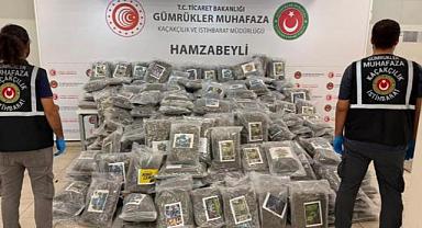 Hamzabeyli Sınır Kapısı'nda 287 kilo esrar ele geçirildi