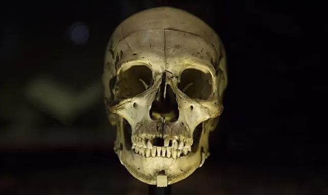İnsanlığın kökenine ilişkin anlatı değişiyor: DNA'da 'hayalet' ataların izleri bulundu
