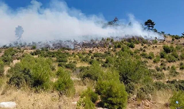 İzmir ve Bursa'daki orman yangınları kontral altına alındı