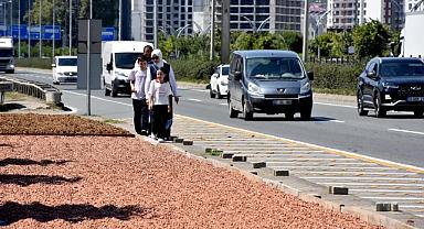 Karadeniz Sahil Yolu'nda fındık kurutma mesaisi başladı