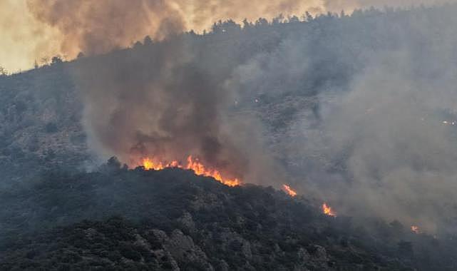 Manisa'da çıkan orman yangınına müdahale ediliyor