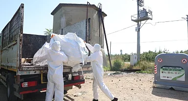 Osmangazi kırsalında ekolojik denge korunuyor