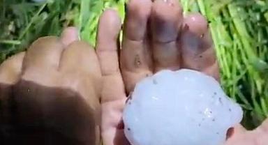 Adana’da yumruk büyüklüğünde dolu yağışı tarım arazilerine zarar verdi