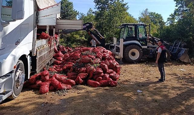 Bursa’da 8 ton midye ele geçirildi