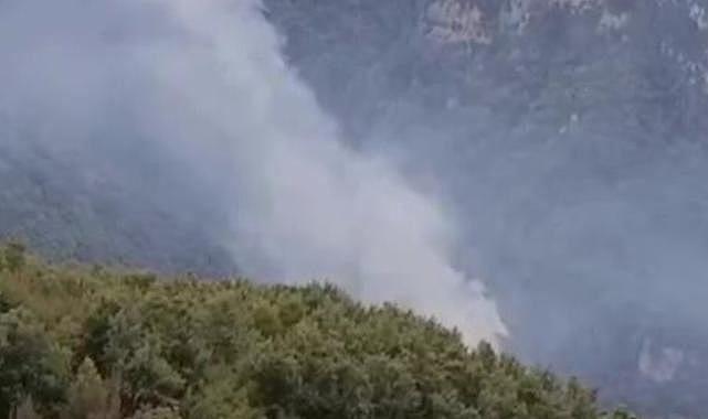 Hatay’da orman yangını: Ekiplerin müdahalesi başladı