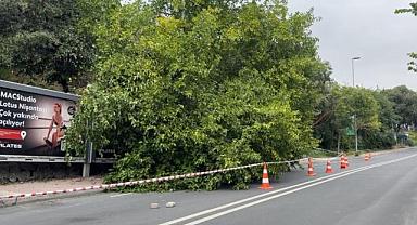 İstanbul’da yağış sonrası ağaçlar devrildi, rögarlar taştı