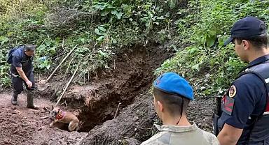JASAT ekiplerinin çalışmasıyla Artvin'deki 30 yıllık cinayet aydınlatıldı