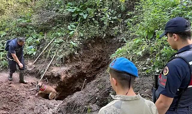 JASAT ekiplerinin çalışmasıyla Artvin'deki 30 yıllık cinayet aydınlatıldı
