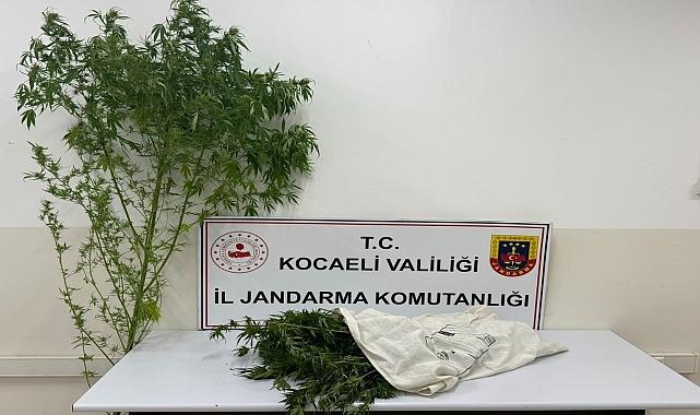 Kocaeli'de uyuşturucu operasyonunda yakalanan şüpheli tutuklandı
