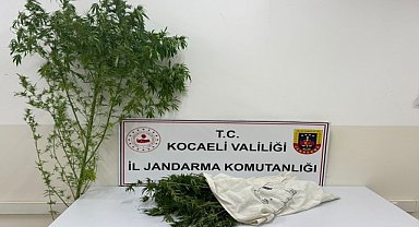 Kocaeli'de uyuşturucu operasyonunda yakalanan şüpheli tutuklandı