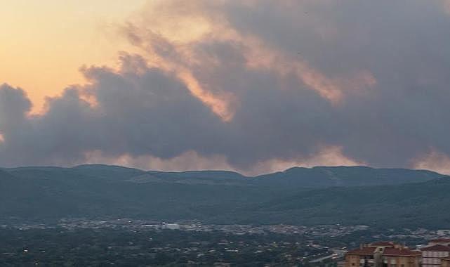 Muğla'da orman yangını: Havadan ve karadan müdahale sürüyor