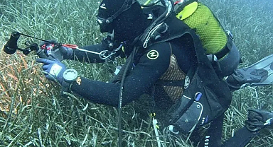 Deniz çayırlarının korunmasında yeni model