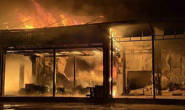 İznik’te soğuk hava deposunda yangın: Ekipler seferber oldu