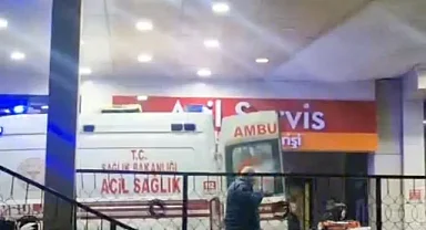 Ormanda kaza kurşunuyla vuruldu