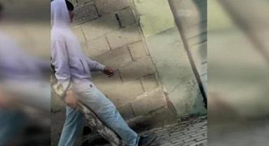 Sosyal medyada tüfekle dolaştığı görüntüler ortaya çıkan şüpheli yakalandı
